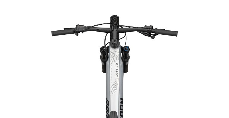 Radon JEALOUS HYBRID 8.0 750 – Bild 3